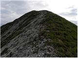 Erjavčev rovt - Huhnerkogel/Gubno